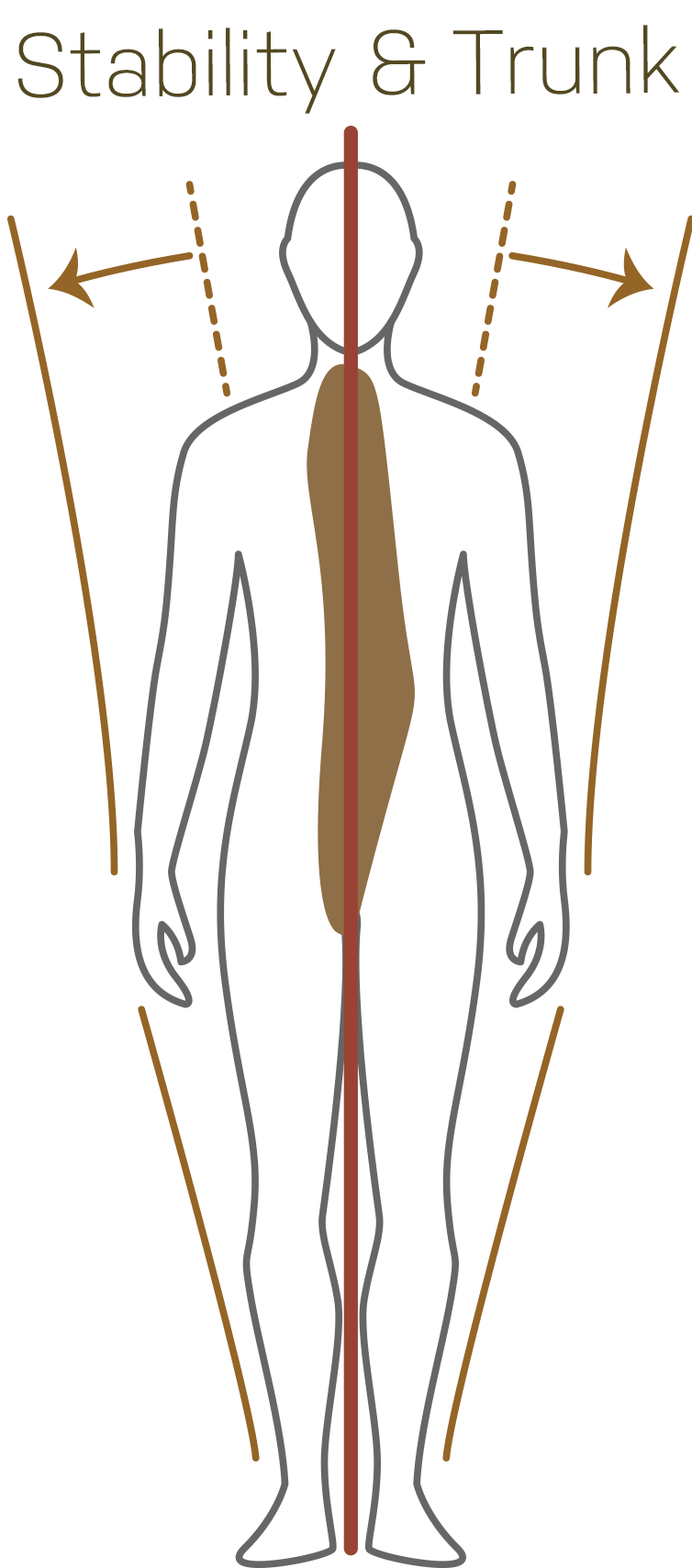 Stability & Trunk